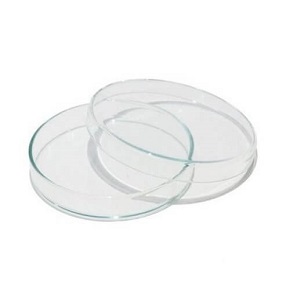 Plastic Petri Dishes 90 mm for Biology Lab