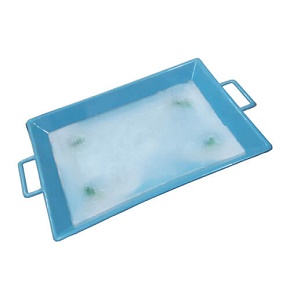 Plastic Tray with Wax for Biology Lab Use