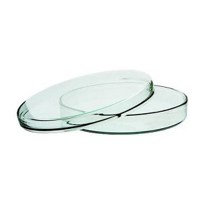 Glass Petri Dishes 90 mm for Biology Lab